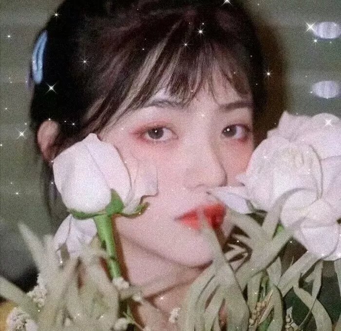 芫荽与欧芹